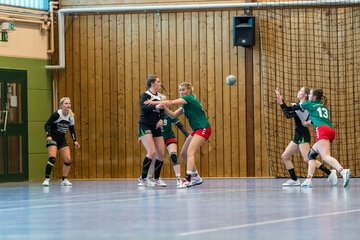 Bild 58 - Frauen HSG Kremperheide/Muensterdorf - HFF Munkbarup : Ergebnis: 28:27